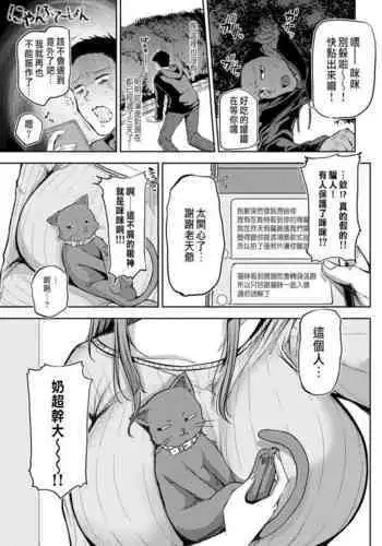 [Miyoshi] Nyanptation (COMIC Anthurium 2021-03) [Chinese] [Digital]