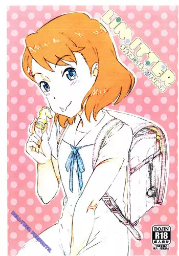 Limitter SHT2018 Autumn