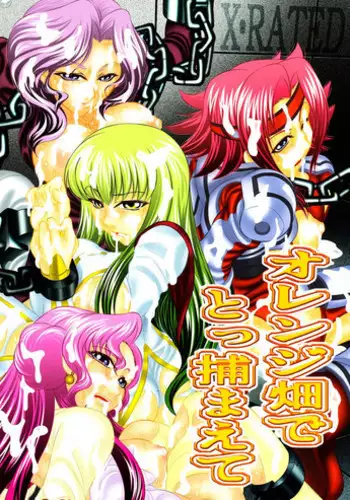 [Yuugai Tosho Kikaku (Satochizu, Tanaka Naburu)] Orange Batake de Tottsukamaete (Code Geass)