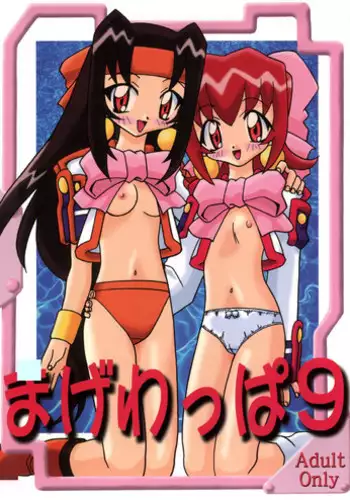 (C54) [Circle Heron (Various)] Magewappa 9 (Akihabara Dennou Gumi)