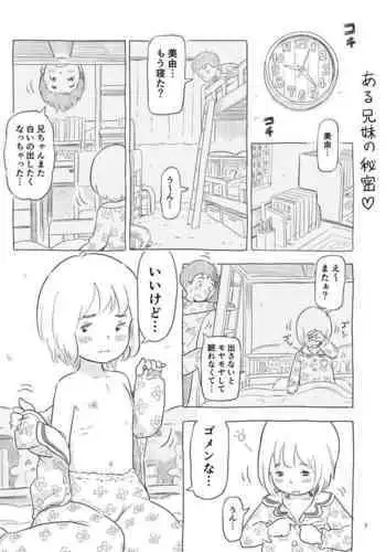 Aru Kyoudai no Himitsu