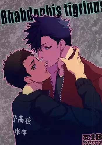 (RTS!!5) [uraBB28 Gou (pizi2 Gou)] Rhabdophis tigrinus (Haikyuu!!)