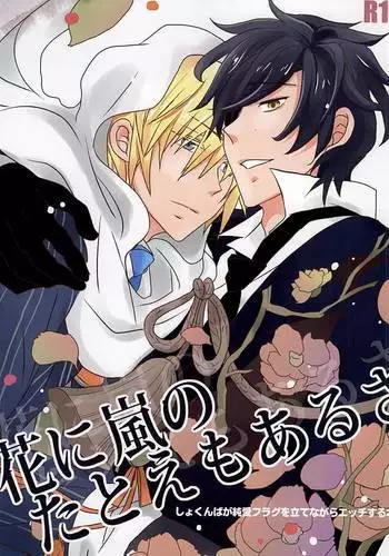 Hana ni Arashi no Tatoe mo Aru sa