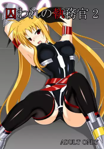 [Misty Wind (Kirishima Fuuki)] Toraware no Shitsumukan 2 (Mahou Shoujo Lyrical Nanoha) [Digital]