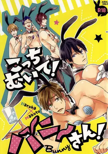 (SUPER24) [Below (Napa)] Kocchi muite! Bunny-san! (Free!)