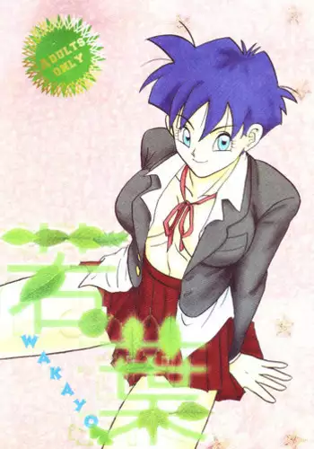 [Shouji Haruzo] Dragon Ball Z - Wakayo
