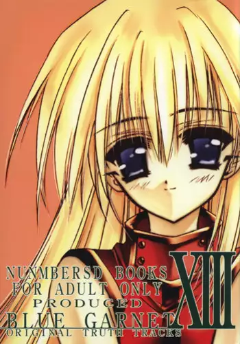 (C60) [BLUE GARNET (Serizawa Katsumi)] BLUE GARNET XIII SILENCE (Black Cat)